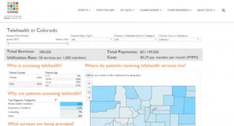 Colorado Telehealth Services Analysis report page screenshot