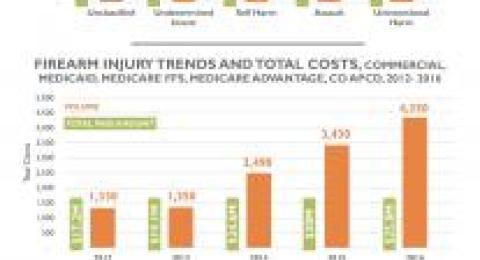 CO APCD Data Byte: Firearm Injury Trends and Costs in Colorado chart