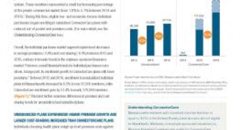 Individual Purchasers in the Massachusetts Health Care System report screenshot