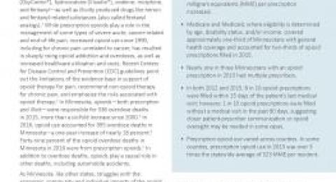 Minnesota opioid report report cover