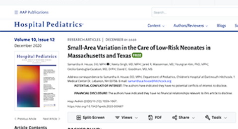 Small Area Variation report cover screenshot