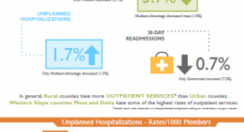 Utilization in Colorado report graphic