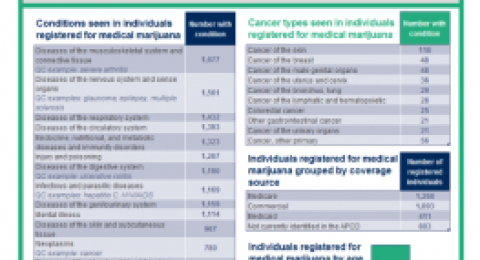 Arkansas All-Payer Claims Database Report Cover