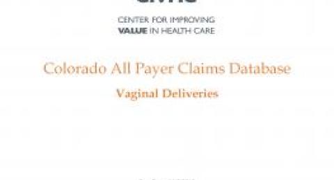 Snapshot Report – Vaginal Deliveries