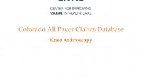 Snapshot Report – Knee Arthroscopy report