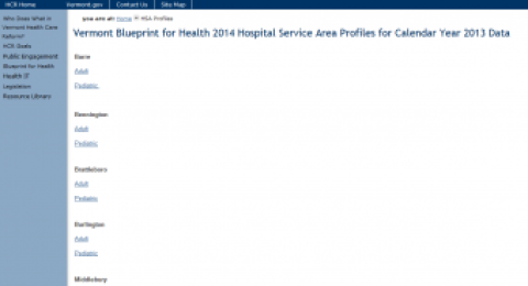 Vermont Hospital Service Area (HSA) Profiles report