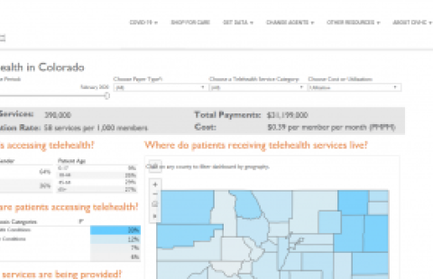 Colorado Telehealth Services Analysis report page screenshot