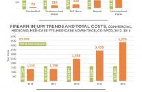 CO APCD Data Byte: Firearm Injury Trends and Costs in Colorado chart