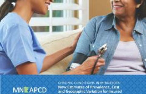 Minnesota chronic conditions report cover
