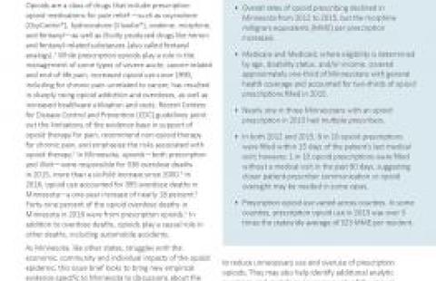 Minnesota opioid report report cover