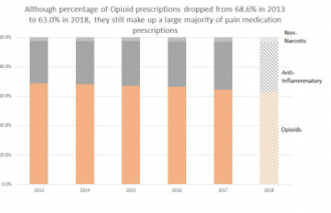 DataByte: Opioid and Other Pain Medication Use in Utah chart