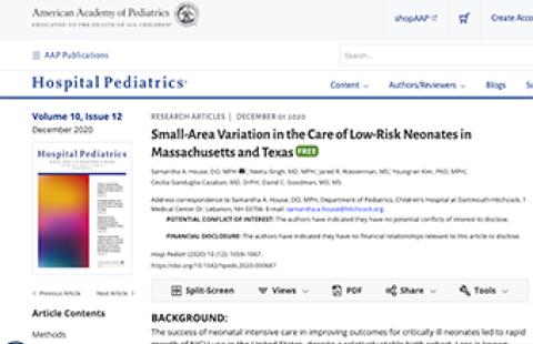 Small Area Variation report cover screenshot