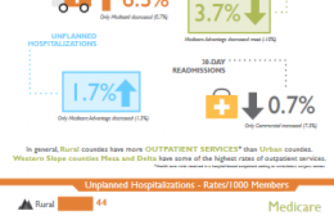 Utilization in Colorado report graphic