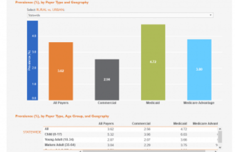 Colorado Interactive Prevalence report