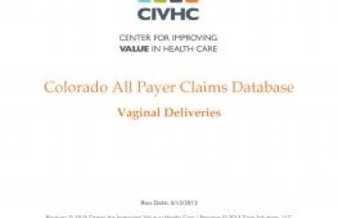 Snapshot Report – Vaginal Deliveries