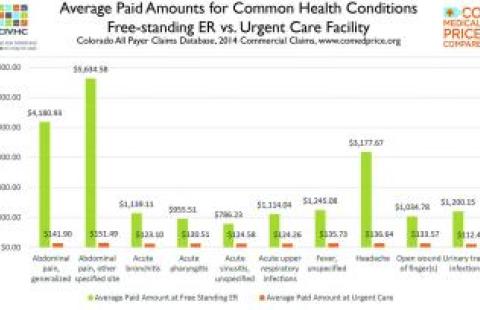 Average paid amounts for common health conditions report cover