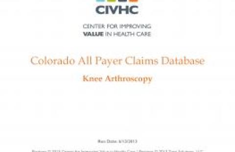  Snapshot Report – Knee Arthroscopy report