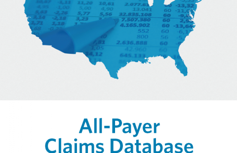 All-Payer Claims Database Development Manual: Establishing a Foundation for Health Care Transparency and Informed Decision Making report
