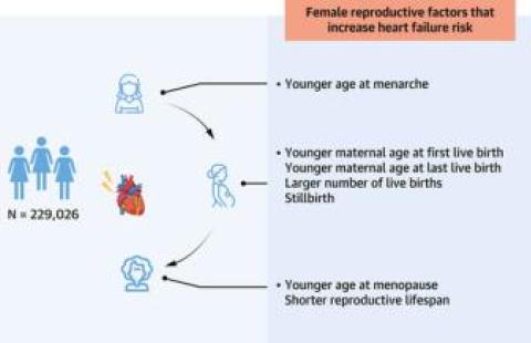 Health diagram